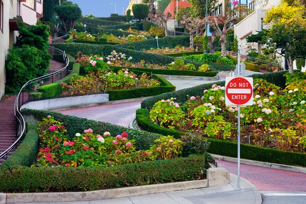 Lombard Street sedikit berbeda dari jalur mematikan lainnya. Berada di San Francisco, jalur ini hanya 600 meter saja. Tapi jangan salah, Tikungannya zig-zag dengan kemiringan 27 derajat. Jalur ini khusus dibuat ke arah turun. Jadi tidak boleh ada kendaraan yang lewat dari arah tanjakan. (Getty Images/iStockphoto/photoquest7) Lombard Street sedikit berbeda dari jalur mematikan lainnya. Berada di San Francisco, jalur ini hanya 600 meter saja. Tapi jangan salah, Tikungannya zig-zag dengan kemiringan 27 derajat. Jalur ini khusus dibuat ke arah turun. Jadi tidak boleh ada kendaraan yang lewat dari arah tanjakan. (Getty Images/iStockphoto/photoquest7)