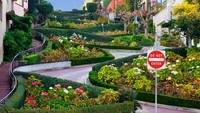 Lombard Street sedikit berbeda dari jalur mematikan lainnya. Berada di San Francisco, jalur ini hanya 600 meter saja. Tapi jangan salah, Tikungannya zig-zag dengan kemiringan 27 derajat. Jalur ini khusus dibuat ke arah turun. Jadi tidak boleh ada kendaraan yang lewat dari arah tanjakan. (Getty Images/iStockphoto/photoquest7)