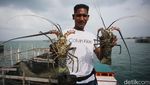 Tengok Lagi Keseruan Jelajah Tapal Batas detikcom