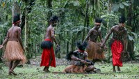 Sejumlah anggota dari Yayasan Maramowe melakukan tarian Seka, Timika, Kabupaten Mimika, Papua. Tarian ini merupakan bentuk ekspresi masyarakat atas rasa syukur yang diberikan Tuhan sang pencipta. (Grandyos Zafna/detikcom)