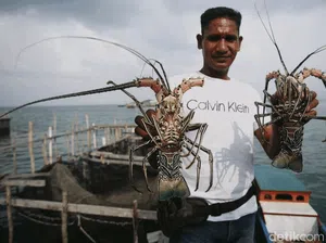 Tengok Lagi Keseruan Jelajah Tapal Batas detikcom