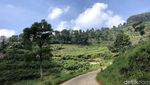 Menyusuri Jalur Syahdu di Puncak Dua, Bogor