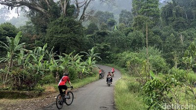 Menyusuri Jalur Syahdu di Puncak Dua, Bogor