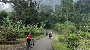 Menyusuri Jalur Syahdu di Puncak Dua, Bogor