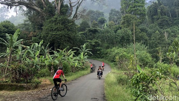 Sejumlah pesepeda melintas di jalur Puncak Dua, Bogor. Pemandangan hijau nampak begitu asri.
