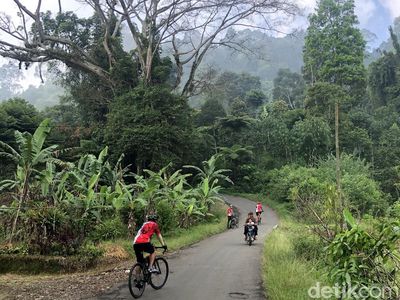 Menyusuri Jalur Syahdu di Puncak Dua, Bogor