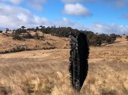 Penampakan Puing Pesawat SpaceX yang Jatuh di Australia