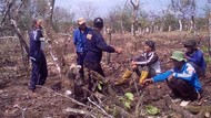 Eks Pekerja Buka Suara soal Konflik Lahan Kebun Kakao di Sukabumi