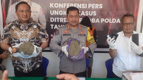 Polda NTB menunjukkan barang bukti ganja kering milik tersangka IR, Jumat (5/8/2022).