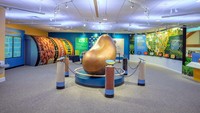 Seperti ini bagian dalam museum. Ada kacang emas besar yang terpajang di tengah ruangan. Museum ini awalnya dibuka tahun 2010, tetapi tahun ini mereka membuka museum dengan versi yang lebih baik. Foto: COURTESY OF BUSHS BEANS