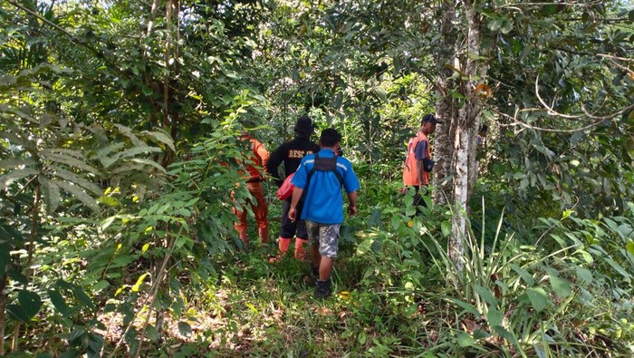 Pria hilang misterius di hutan Kukar tak kunjung ditemukan.