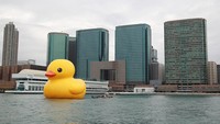 Selanjutnya, bebek raksasa ini juga muncul di Hong Kong, China.