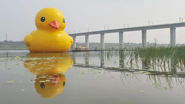 Jika menoleh ke belakang, instalasi bebek ini pertama kali dipublikasikan pada 2007 lalu. Sejumlah kota besar di duniadisambangi mulai dari Hong Kong, Seoul, Amsterdam, Sydney hingga Toronto. Jika menoleh ke belakang, instalasi bebek ini pertama kali dipublikasikan pada 2007 lalu. Sejumlah kota besar di duniadisambangi mulai dari Hong Kong, Seoul, Amsterdam, Sydney hingga Toronto.
