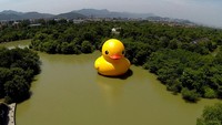 Sebagai informasi, instalasi bebek ini merupakan yang terbesar di dunia.