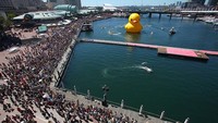 Ini dia penampakan instalasi bebek raksasa karya seniman asal Belanda Florentjin Hofman yang mejeng di Sydney, Australia pada 2013 lalu.