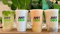 Tak hanya minuman kelapa saja, Just Coco memperkenalkan varian minuman kelapa lain. Misalnya dicampur buah, susu gandum (oat), biji-bijian sereal oat, dan biji chia. 