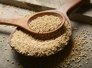 5 Resep Olahan Sorgum yang Lezat dan Mudah Dibuat, Cocok Jadi Pengganti Nasi