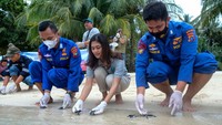 Begini lucunya saat bayi penyu dilepaskan ke habitatnya. Pelepasliaran ini dikuti oleh berbagai instansi terkait.