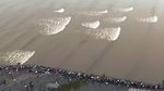 Hobi Warga China Berburu Gelombang Pasang di Sungai Qiantang