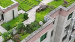 Keren Banget, Atap Gedung Ini Disulap jadi Taman