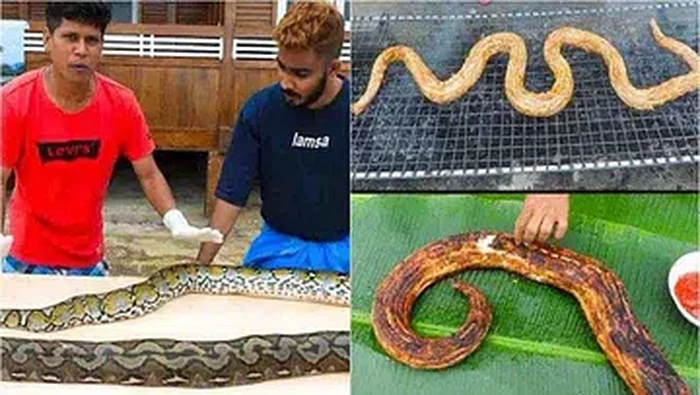 4 Kasus Food Vlogger Santap Spesies Langka, Berakhir Dipenjara!