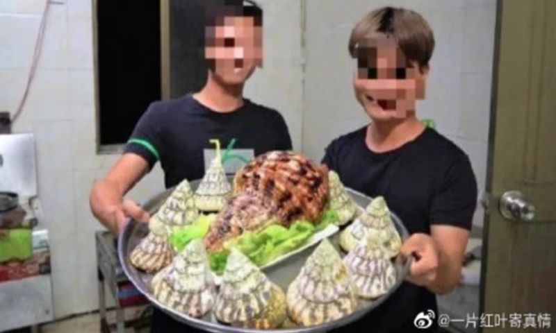 4 Kasus Food Vlogger Santap Spesies Langka, Berakhir Dipenjara!