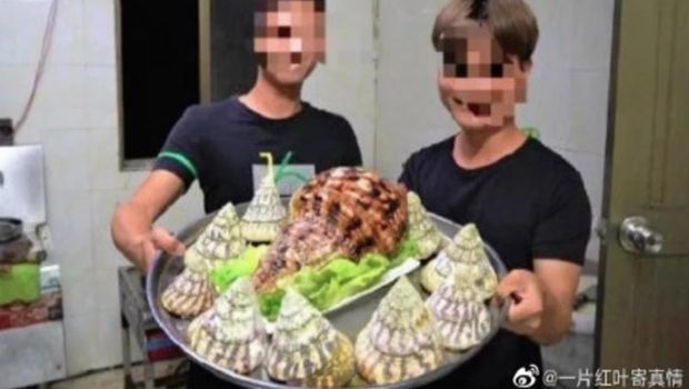 4 Kasus Food Vlogger Santap Spesies Langka, Berakhir Dipenjara!