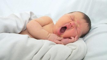 Mau tidur lagi, masih ngantuk soalnya. Foto: (rd.com).