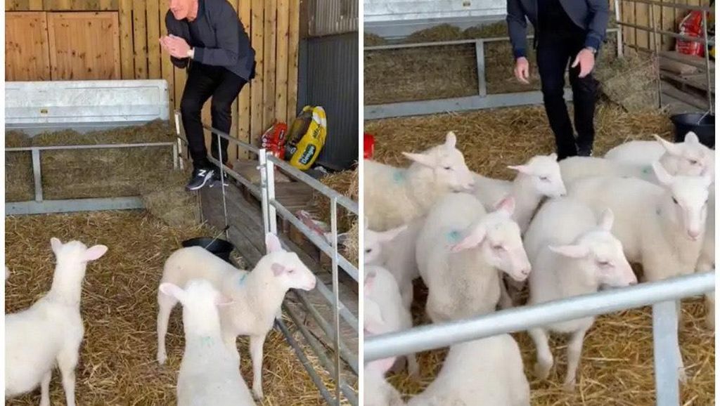 Gordon Ramsay Dikecam Usai Pilih Domba Muda untuk Dimasak