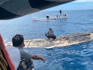 Paus Mati Terdampar di Pesisir Bulukumba, Bangkainya Ditenggelamkan di Laut