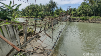 .Tali jembatan gantung putus saat ada beberapa orang yang sementara menyeberang. (Foto: Agung Pramono/detikSulsel)