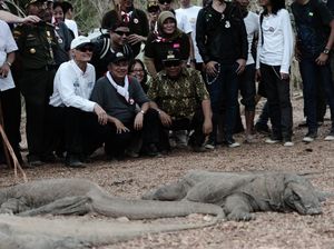 Jusuf Kalla: Tarif Rp 3,75 ke Pulau Komodo Perlu Dievaluasi