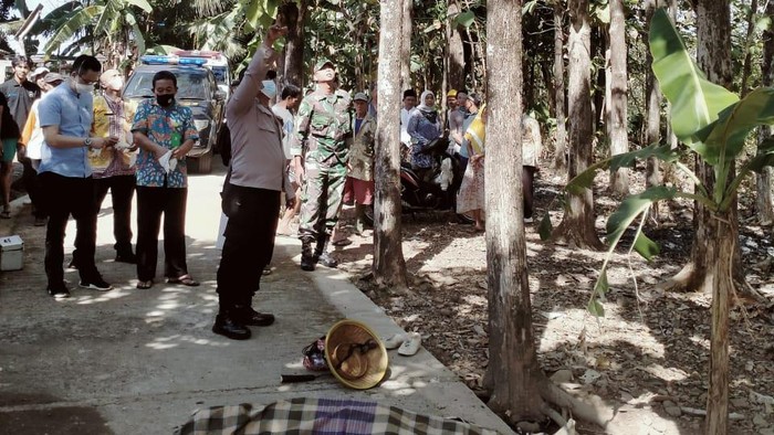Kakek tewas terjatuh dari pohon jati.