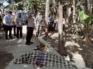Kakek di Semarang Tewas Bersimbah Darah, Diduga Jatuh dari Pohon