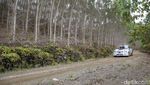 Melihat Adu Kebut Pebalap di Kejurnas Danau Toba Rally 2022