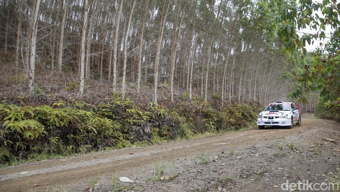 Kejurnas Danau Toba Rally 2022 mulai bergulir hari ini, Sabtu (6/8/2022). Puluhan pereli adu cepat di trek balapan dengan jarak total sepanjang 333,86 km.