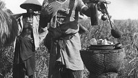 Beginilah potret penjual tuak di Bali di tahun 1910. Mereka menggunakan pikulan dari anyaman bambu untuk membawa tuak dagangannya. Foto: Isidore van Kinsbergen