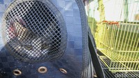 Setelah sehat, kucing-kucing tersebut siap untuk diadopsi oleh pemilik baru. Shelter Rumah Sahabat Kocheng menerima penitipan kucing peliharaan yang akan ditinggal oleh pemiliknya.  Foto: Pius Erlangga/detikJateng