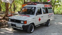 Kucing liar yang diselamatkan dibawa menggunakan mobil ambulans yang diberi nama Anabulance. Foto: Pius Erlangga/detikJateng