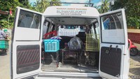 Selain berkeliling, shelter Rumah Sahabat Kocheng juga menerima permintaan panggilan via telepon untuk mengurangi peredaran kucing liar dan sakit di kantor-kantor dan perumahan. Kucing dalam keadaan sakit akan dirawat dan dibesarkan hingga sehat. Foto: Pius Erlangga/detikJateng