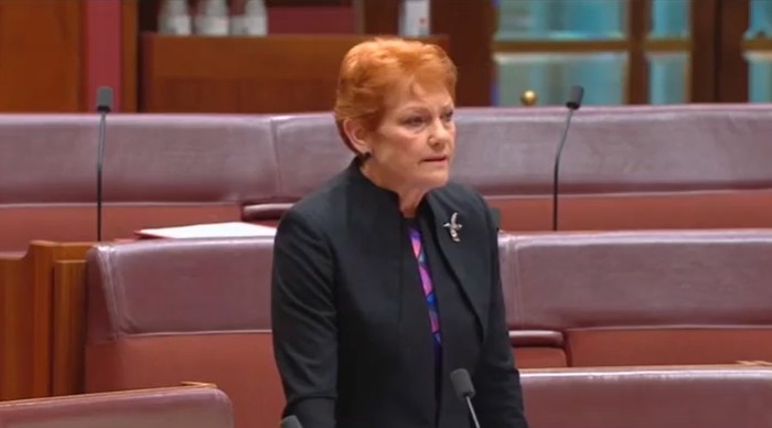 Tangkapa layar Senator Australia Pauline Hanson yang menyebut kotoran sapi bertebaran di jalanan Bali
