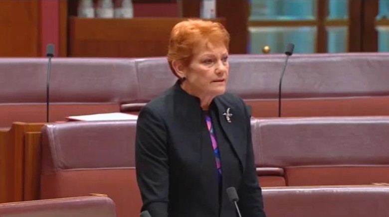 Tangkapa layar Senator Australia Pauline Hanson yang menyebut kotoran sapi bertebaran di jalanan Bali