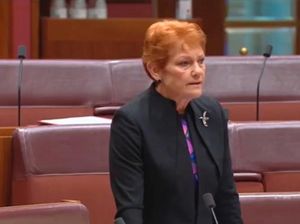 Sosok Kontroversial Senator Australia yang Hina Bali