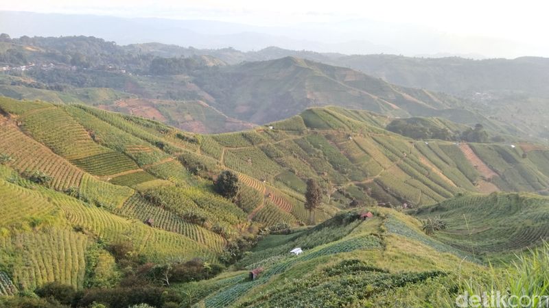 Terasering Panyaweuyan