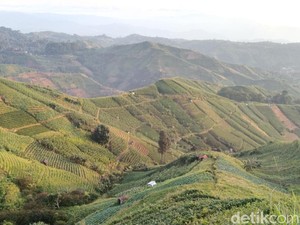 Terasering Panyaweuyan! Alternatif Healing Murah-Pemandangan Indah