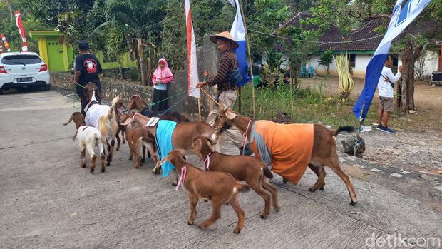 Warga Dusun Ketro, Desa Guwotirto, Kecamatan Giriwoyo, Wonogiri saat menggelar karnaval kambing, Sabtu (6/8/2022).