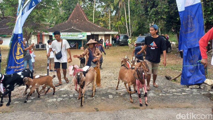 Warga Dusun Ketro, Desa Guwotirto, Kecamatan Giriwoyo, Wonogiri saat menggelar karnaval kambing, Sabtu (6/8/2022).