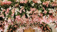 Sebagai gedung pernikahan terbaik dan termewah di area Darmawangsa – Jakarta selatan ini, The Tribrata Darmawangsa – Jakarta memiliki The Opus Grand Ballroom, sebuah Ballroom mewah dengan ceiling setinggi 12 meter, foyer yang mewah serta luas dengan ornamen lampu-lampu chandelier yang akan membuat acara pernikahan para calon pengantin lebih terasa megah, hikmat dan berkesan. 