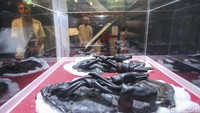 Pameran tersebut disambut antusiasme masyarakat.