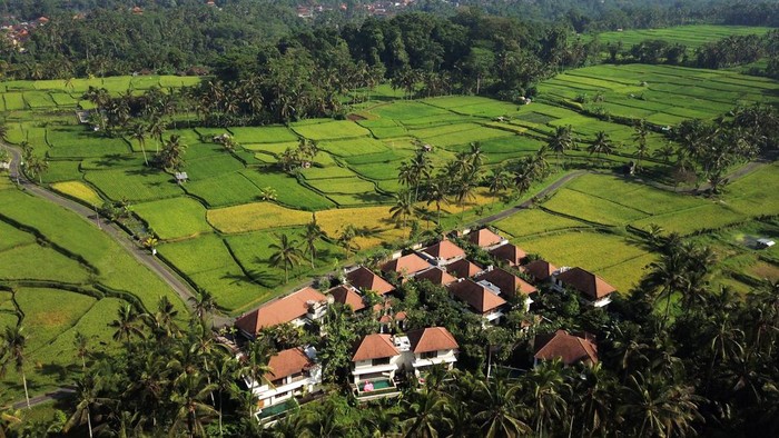 Dedary Resort Ubud